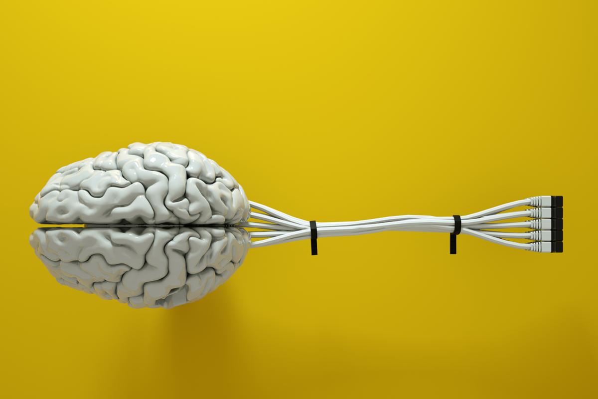 Model of brain attached to cables
