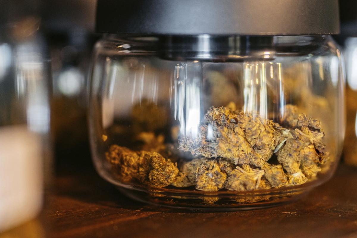 Herbal cannabis (marijuana) in a jar in a cannabis shop