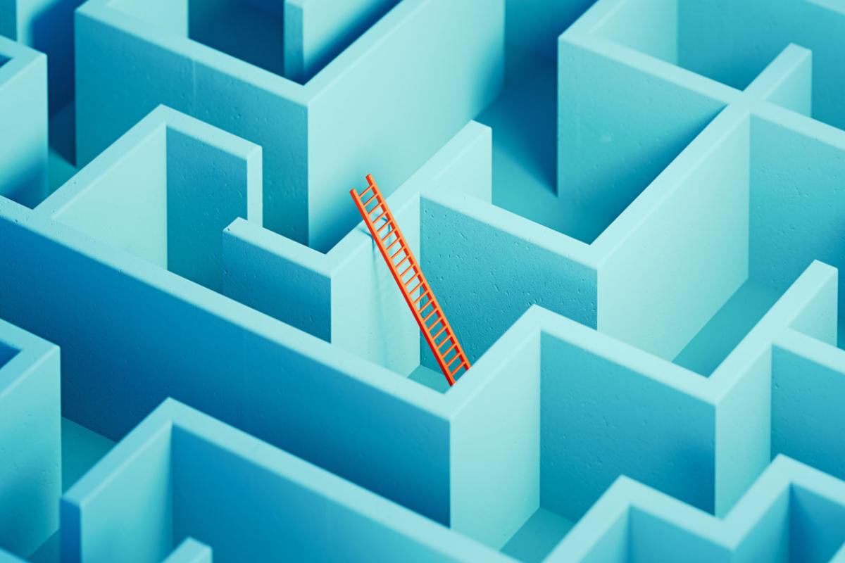 Ladder in a maze