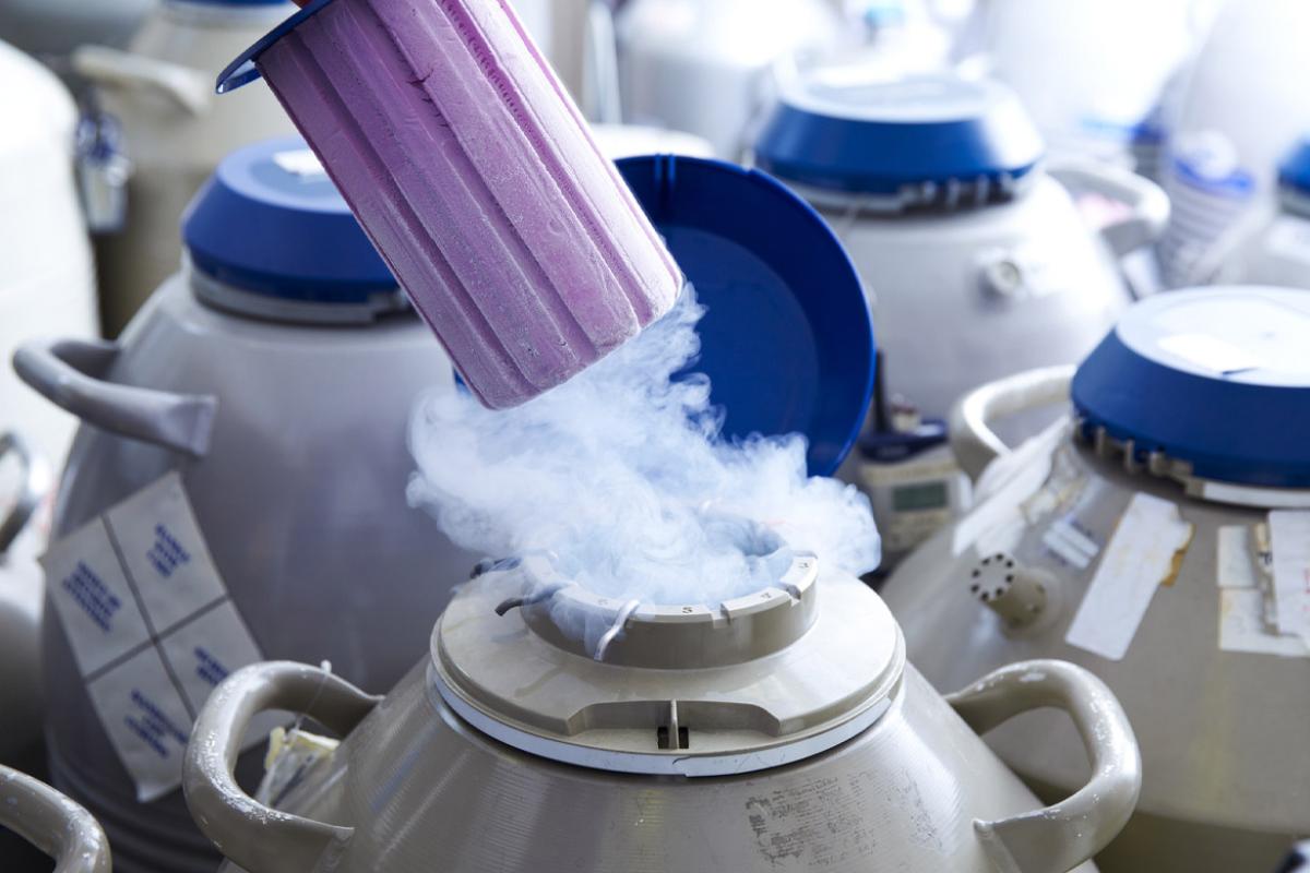 Egg storage for in vitro fertilization