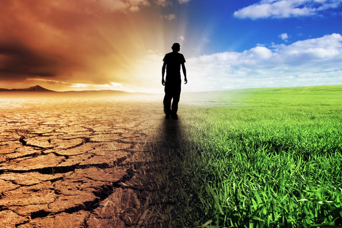 Physician walking between green pasture and dry desert. 