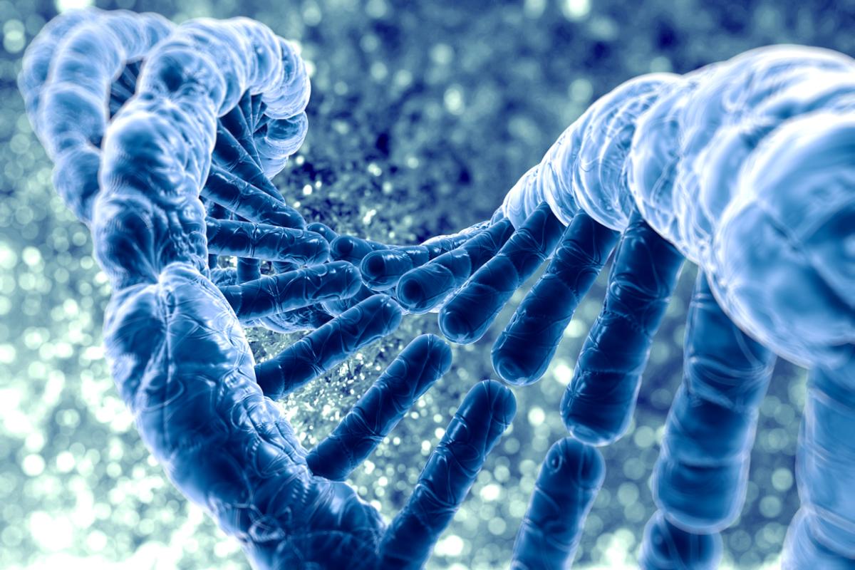 Microscopic look at DNA